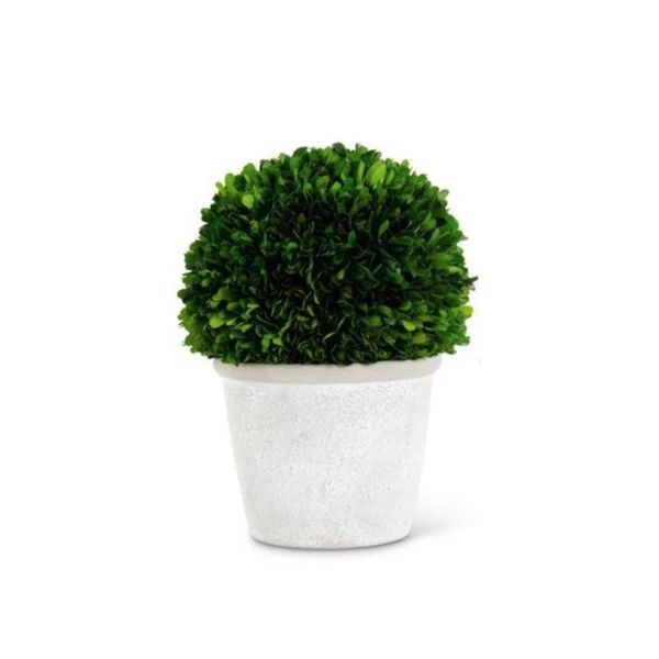 Faux Boxwood Topiary in Terracotta | Wayfair North America