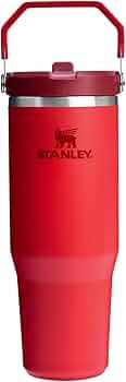 STANLEY IceFlow 2.0 Flip Straw Tumbler with Handle 30 oz | Twist On Lid and Flip Up Straw | Leak ... | Amazon (US)