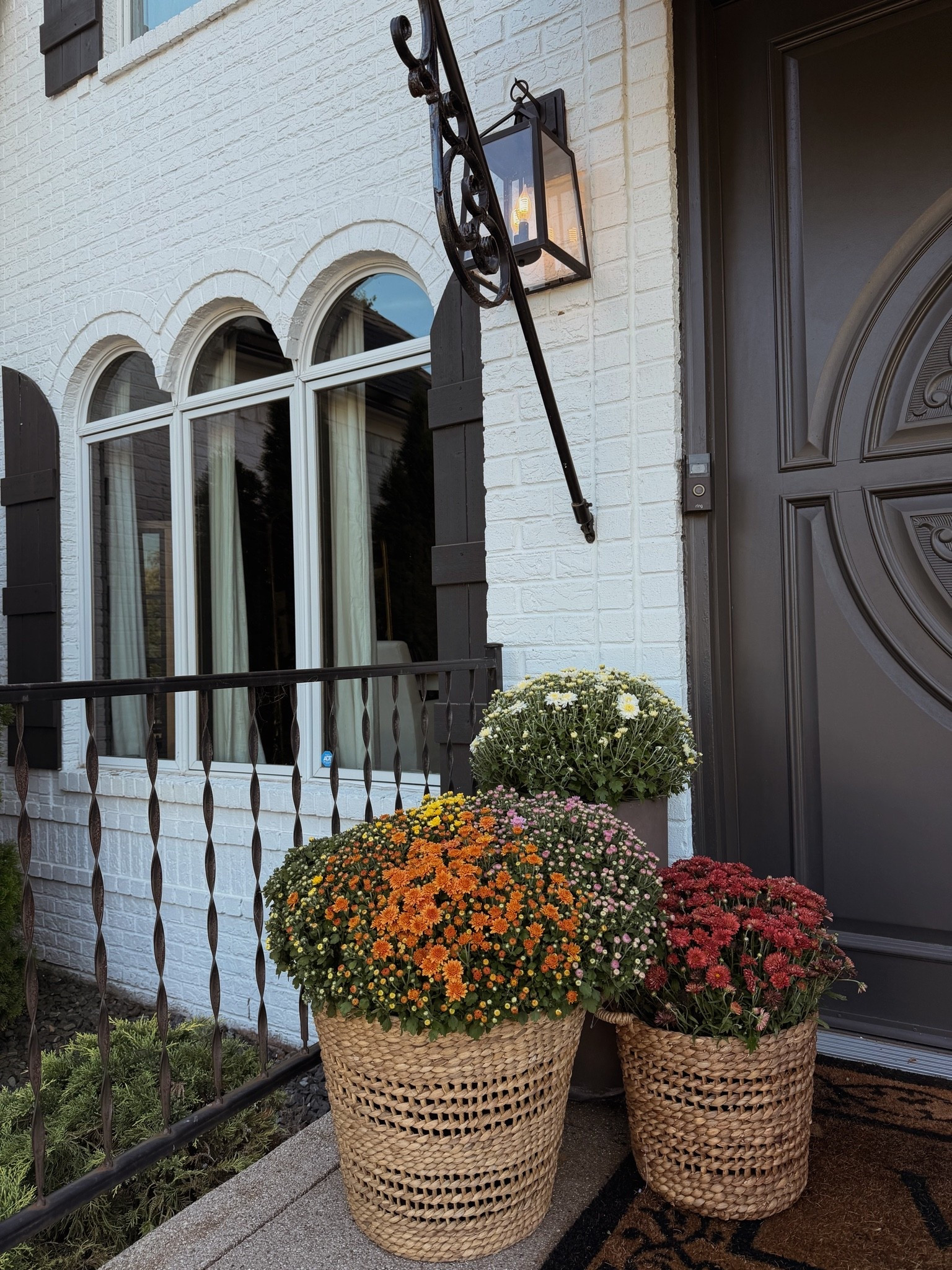 Grabbed these baskets instead of traditional planters and I’m loving the look 🫶🏼

#LTKdayinmylife #LTKSeasonal #LTKHome