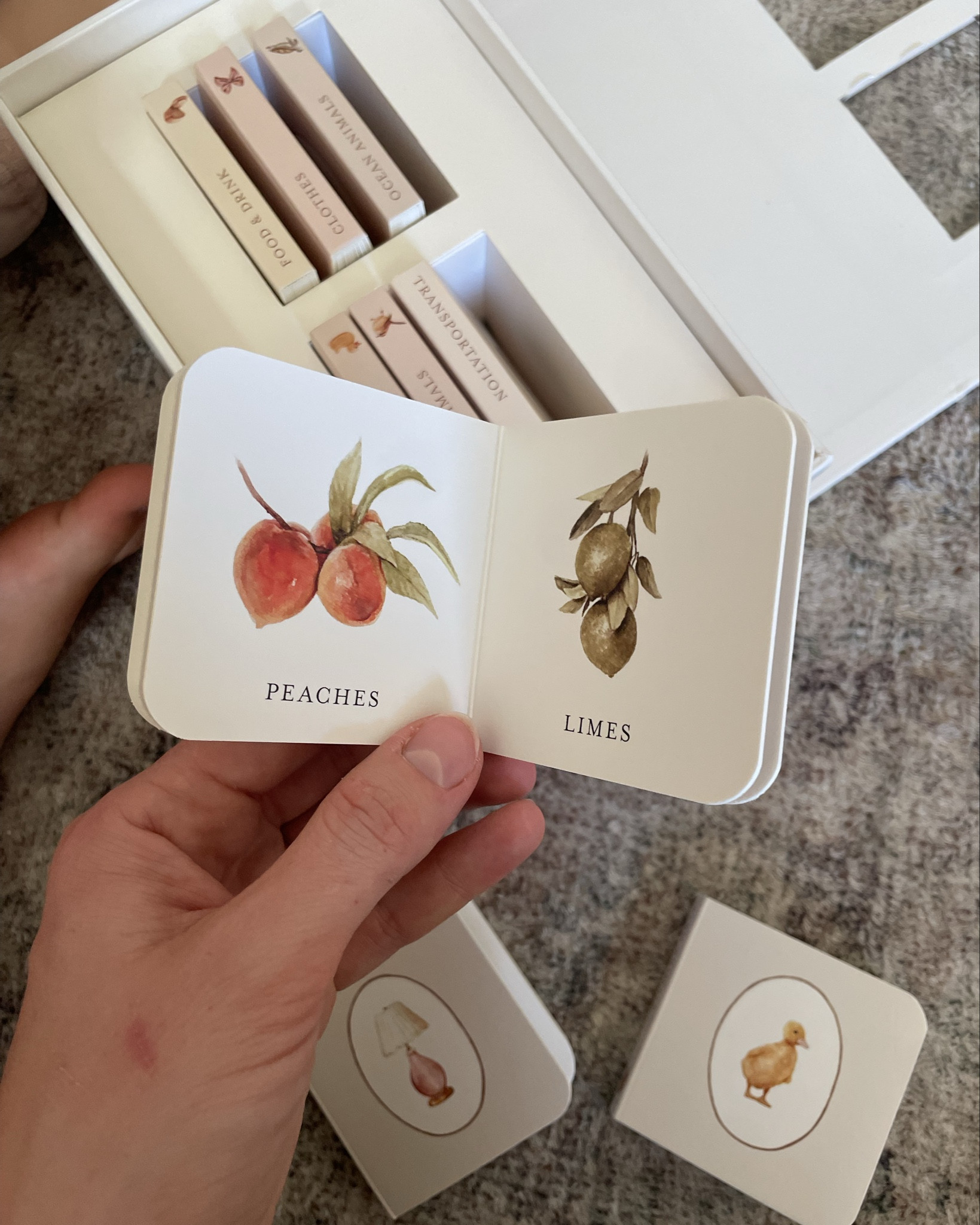 The art and colors in these books 🥹🥹 


#birthday #babyshower #littlebooks #library #girl #giftguide #watercolor #vintage #cottagecore #mylittlelibrary #reading #education #firsts

#LTKGiftGuide #LTKBaby #LTKKids