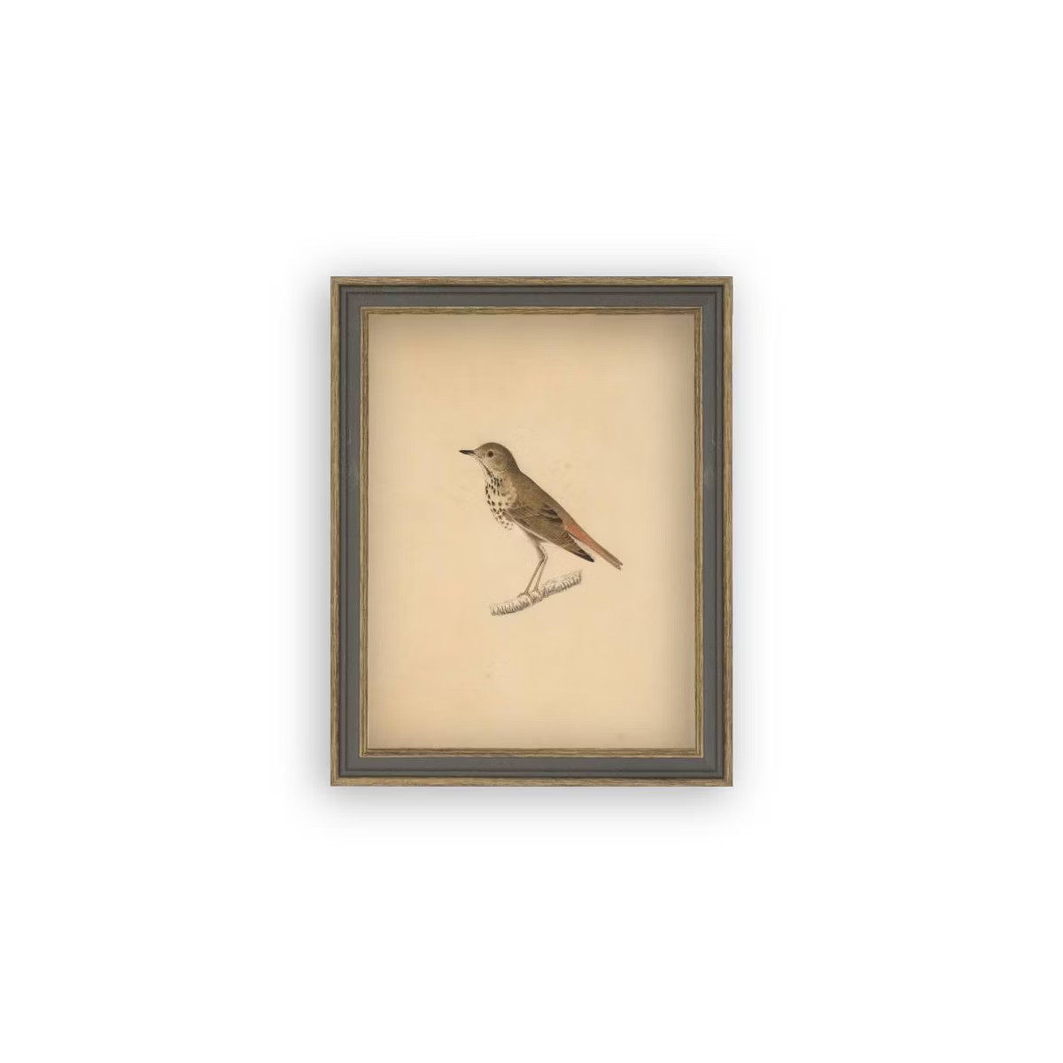 Petal Lane 7"x9" Bird Wall Art | Target