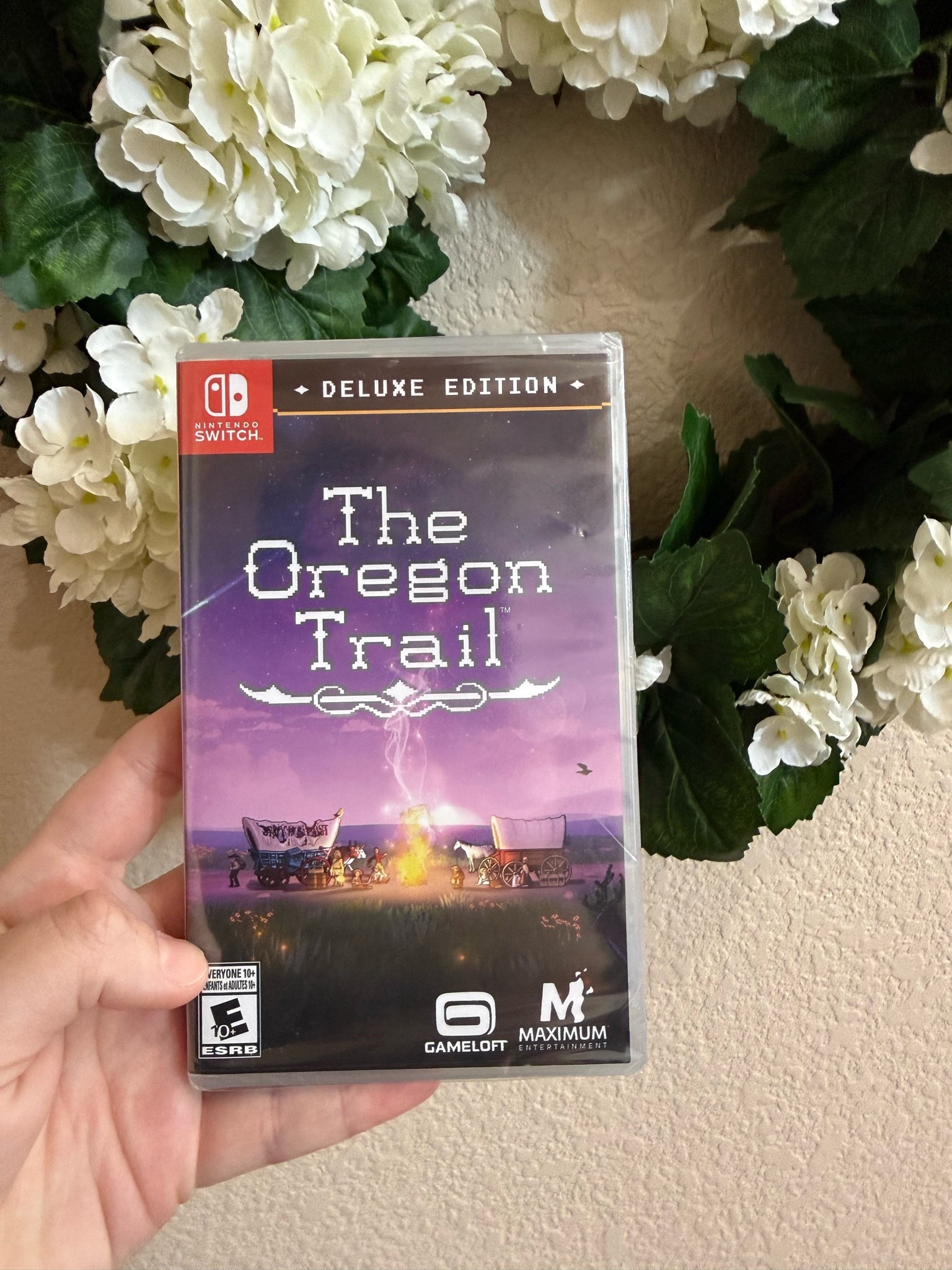 Nostalgic Nintendo game ￼

#LTKdayinmylife #LTKKids #LTKstorytime