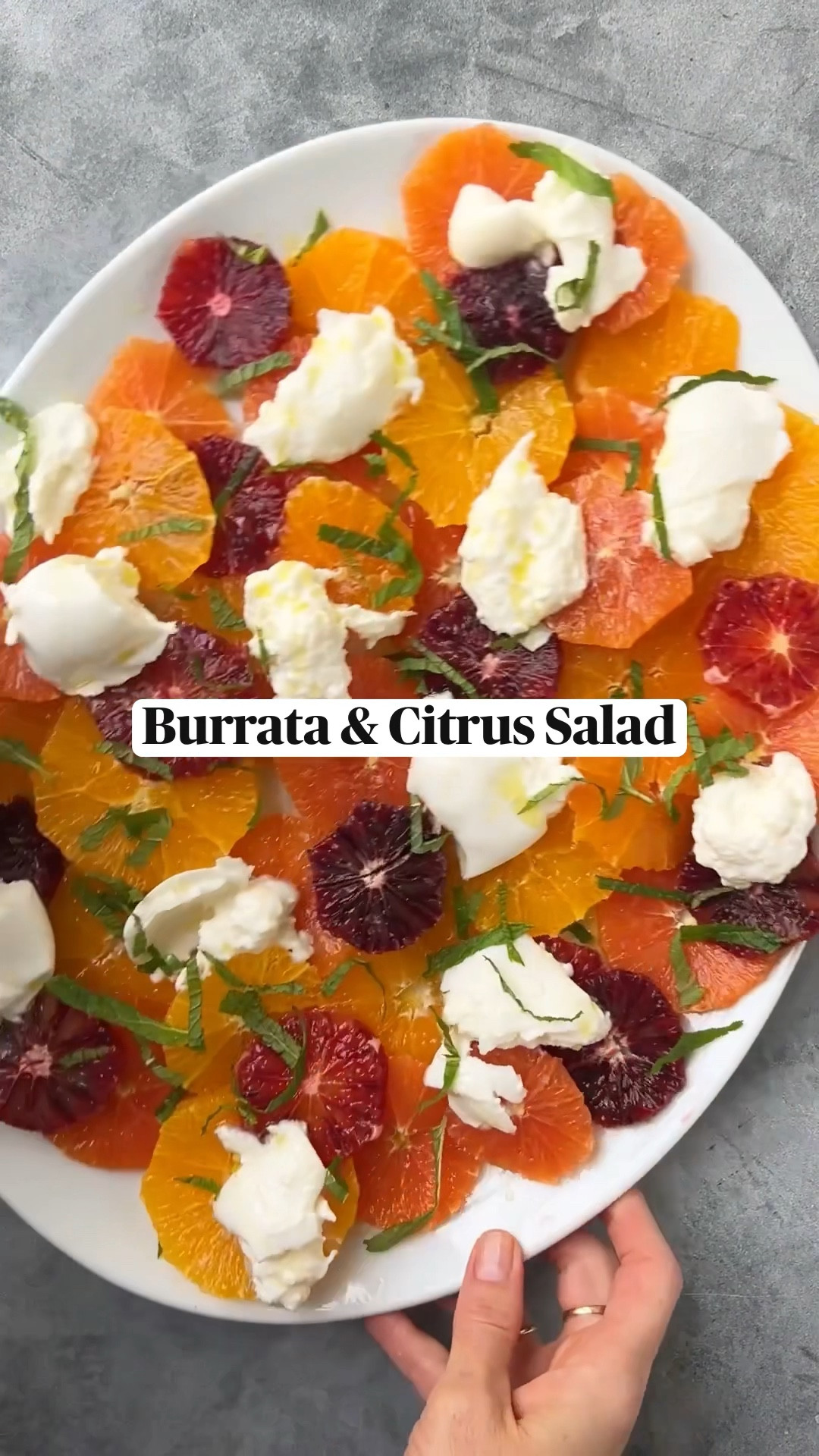 INGREDIENTS

cara cara
navel
mandarin
blood orange
burrata
olive oil
flakey salt
mint, cut into ribbons

INSTRUCTIONS

1. Cut the ends off of the oranges. Stand each fruit upright and use a sharp knife to cut off the peel and any white pith, following the curves of the fruit. Slice the citrus crosswise into 1/4-inch thick rounds.
2. Lay citrus on a platter, alternating between the different types, to create a mosaic of the different colors.
3. Tear pieces of burrata and place on the citrus.
4. Top with a drizzle of olive oil, pinch of salt, mint ribbons, and enjoy!

#LTKhome #LTKGiftGuide #LTKSeasonal