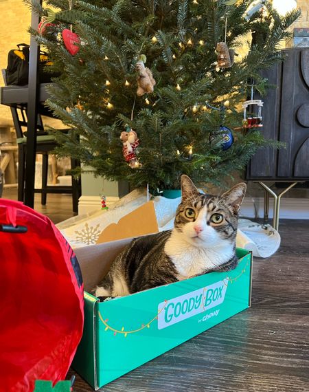 As usual, the box is the best part of the gift 🎁🎄😻 we opened the kitties’ Christmas Goody Box from Cheey last night and the kitties indulged in the treats and played with the spring toys it came with. Now, Louis is enjoying a festive rest beneath the tree in the purrfectly sized box! Happy kitties all around 😻

#LTKHoliday #LTKhome #LTKGiftGuide