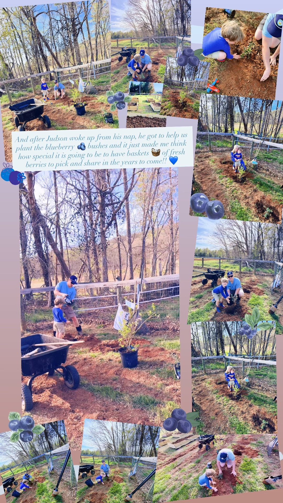And after Judson woke up from his nap, he got to help us plant the blueberry 🫐 bushes and it just made me think how special it is going to be to have baskets 🧺 of fresh berries to pick and share in the years to come!! 💙