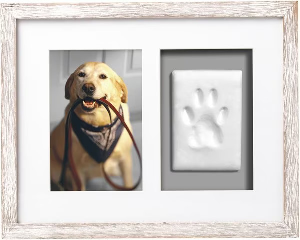 Pearhead Pawprints Wall Picture Frame, 4 x 6-in | Chewy.com