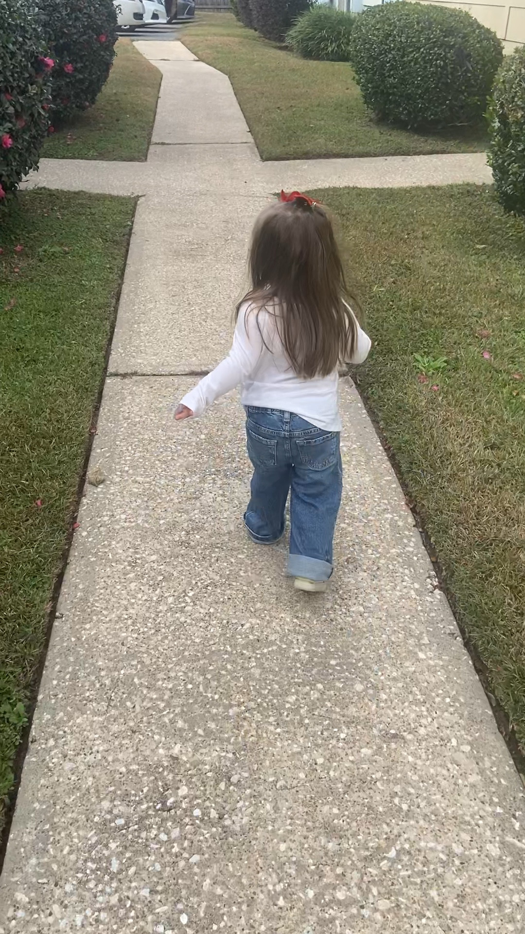 The cutest wide leg jeans for the cutest toddler.
Fit TTS - Poppy’s just short so they’re rolled. ☺️

#LTKKids #LTKStyleTip #LTKBaby