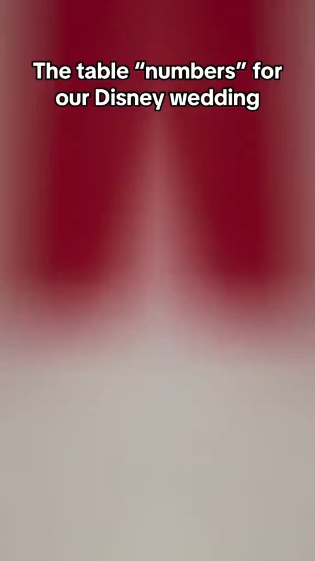 #disneywedding #disneyweddings #disneyfairytaleweddings #october2023bride #2023bride