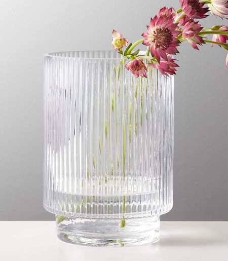 CB2 Fluted Glass Vase

#LTKHoliday #LTKGiftGuide #LTKhome