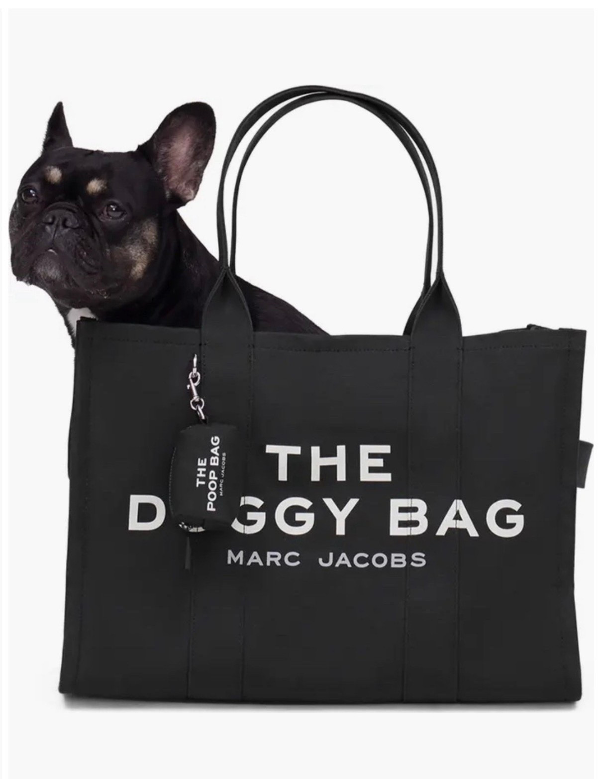 If Roxy was still alive I would buy this bag immediately! 

Dog lover
Pet gift
Dog 

#LTKGiftGuide #LTKHoliday