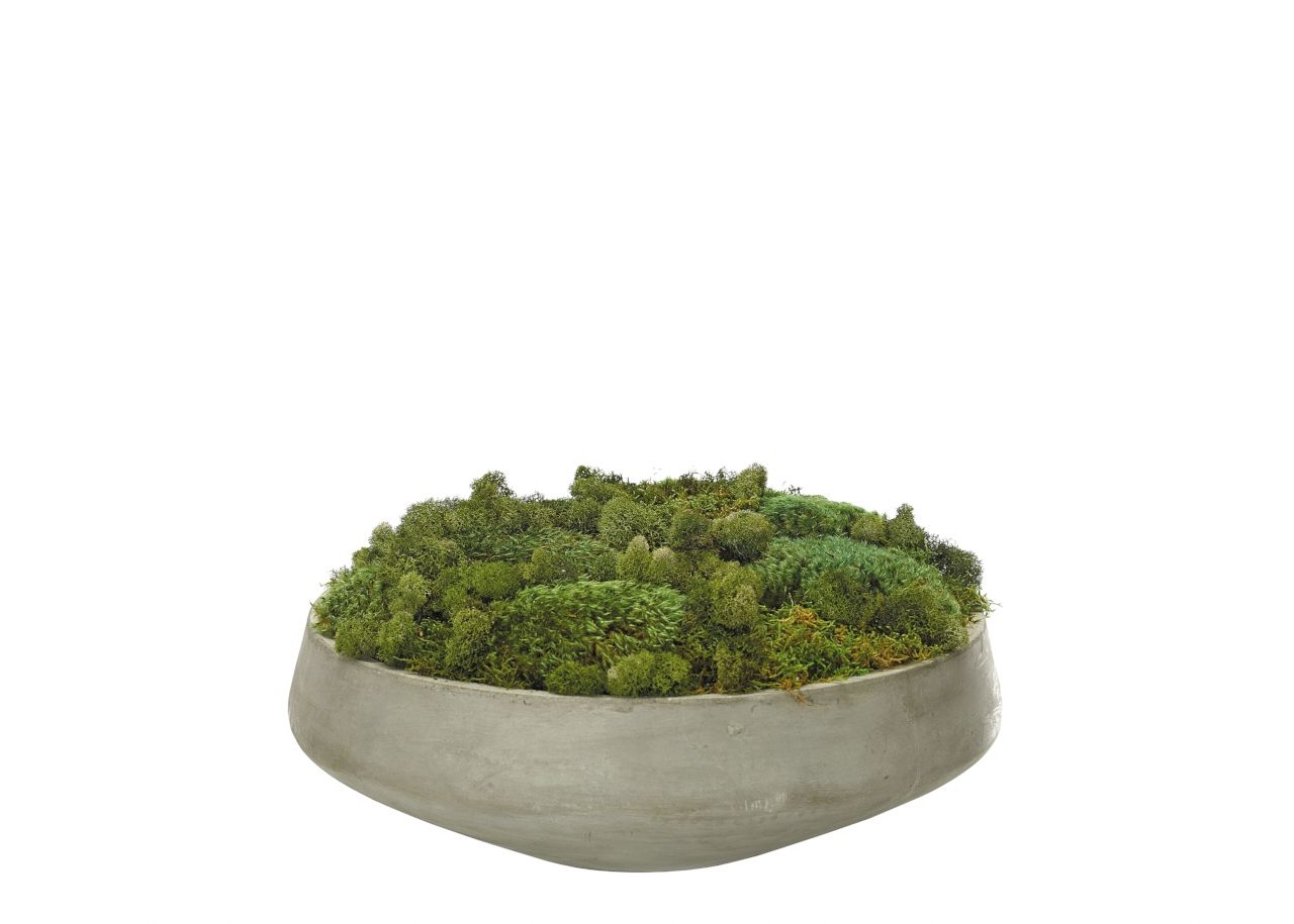 Preorder for August | Moss Mound | Moda Operandi (Global)