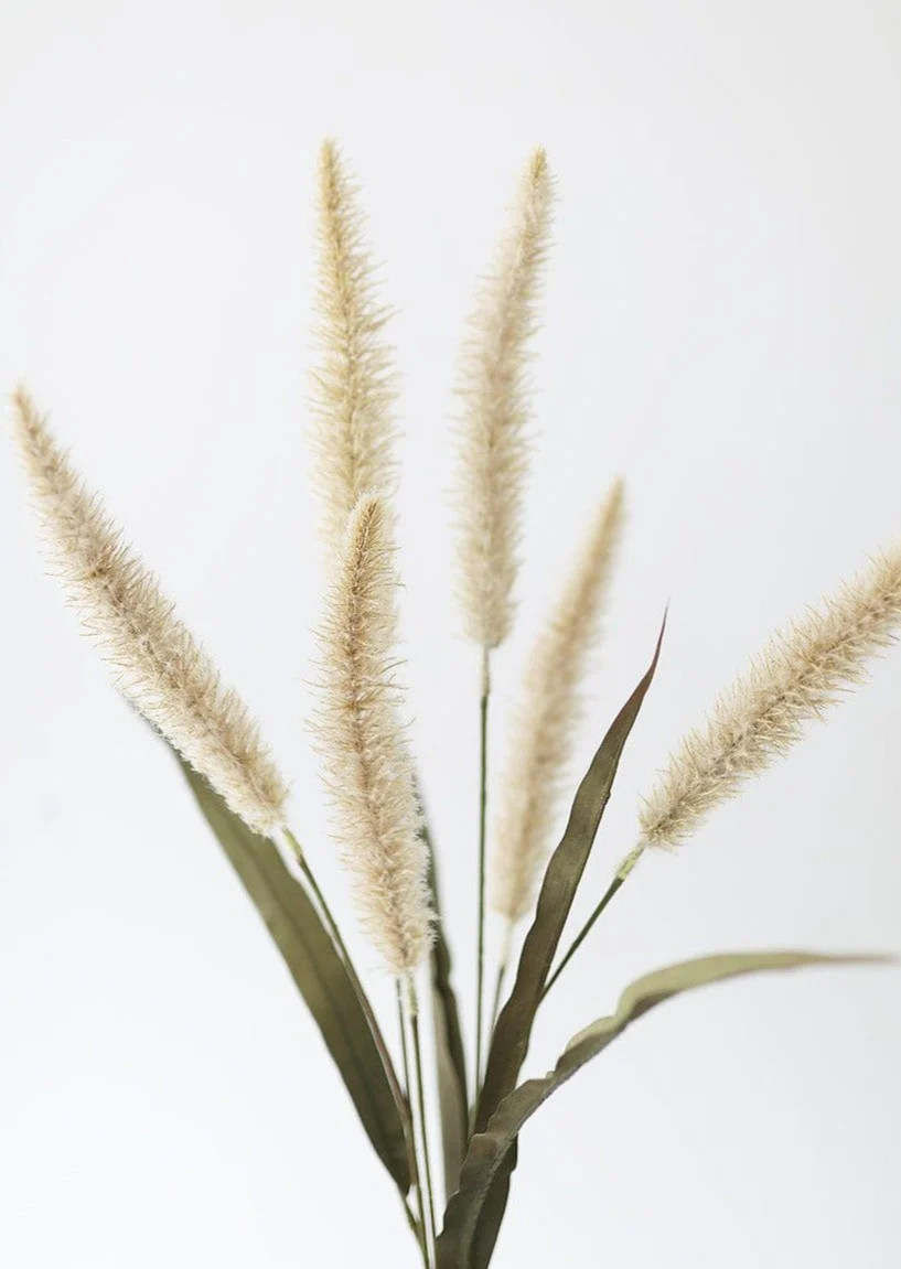 Fake Foxtail Fall Grass in Beige - 36" | Afloral (US)