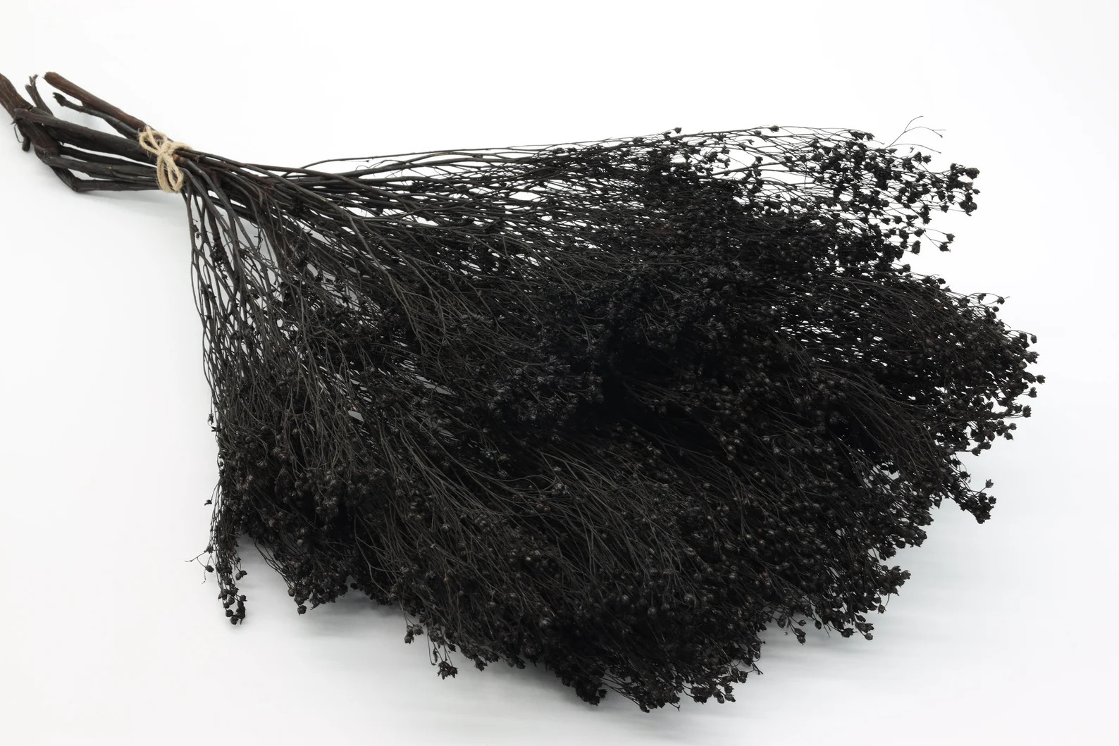 Black Bloom Broom Bunch Bloom Broom Flower Black Wedding - Etsy | Etsy (US)