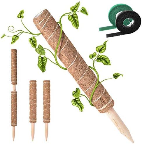 Coir Moss Totem Pole Plant Support Stakes for Climbing Plants Support, 2 Packs 16 Inches, Coir Moss  | Amazon (US)