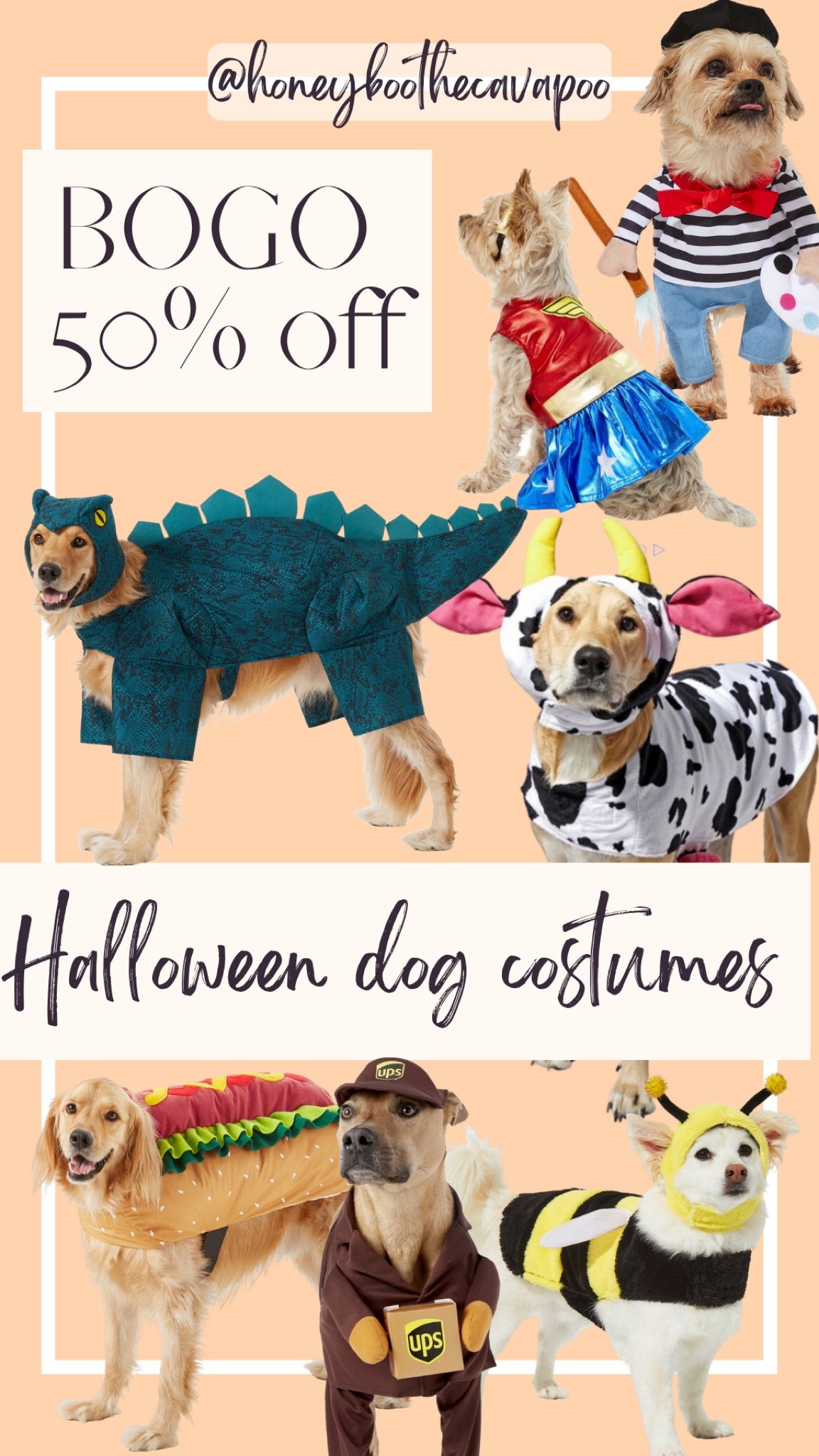 #LTKSeasonal #LTKHalloween #LTKsalealert