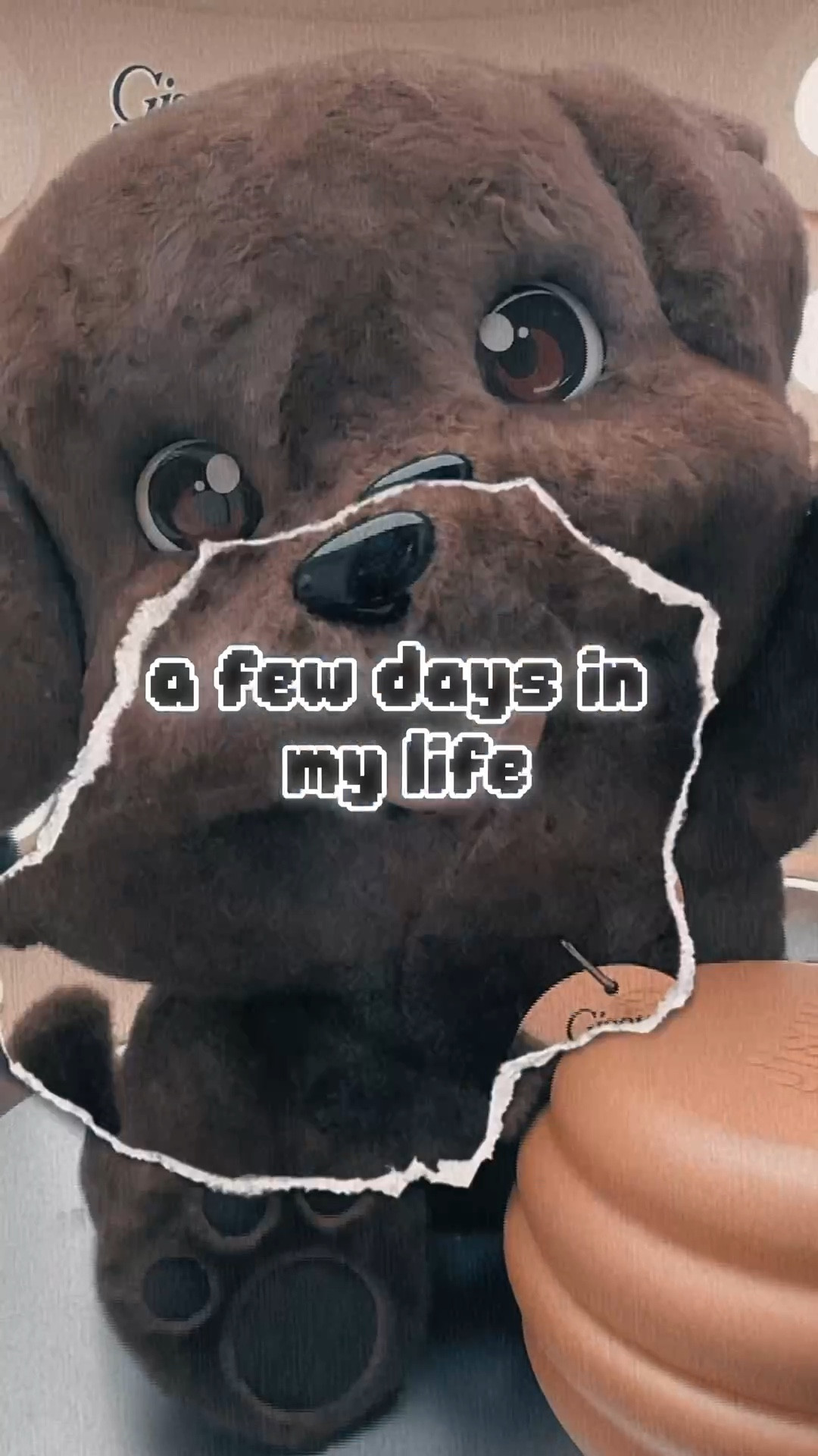 A few pop ups hasn’t hurt anybody. Just a few days in my life in NYC. 

#LTKTravel #LTKSeasonal #LTKdayinmylife