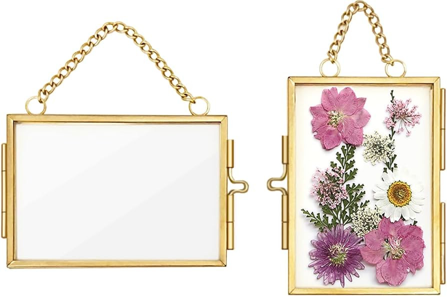 2Pcs Double Glass Frame for Pressed Flowers, 2x3 inch Picture Frame Mini Brass Wall Hanging Photo... | Amazon (US)