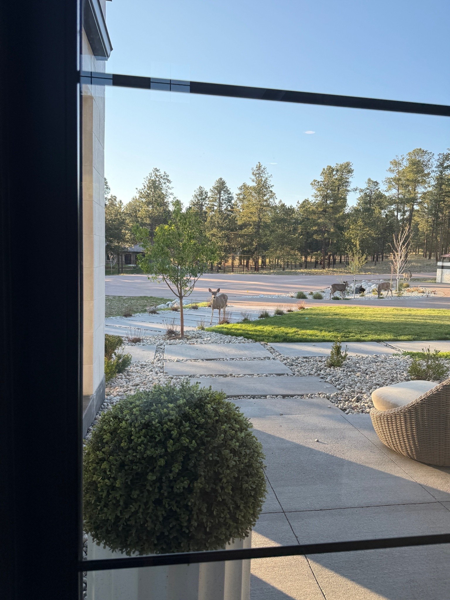 Love seeing our sweet deer friends out in the yard! Happy Memorial Day weekend!

#LTKdayinmylife #LTKSeasonal #LTKHome
