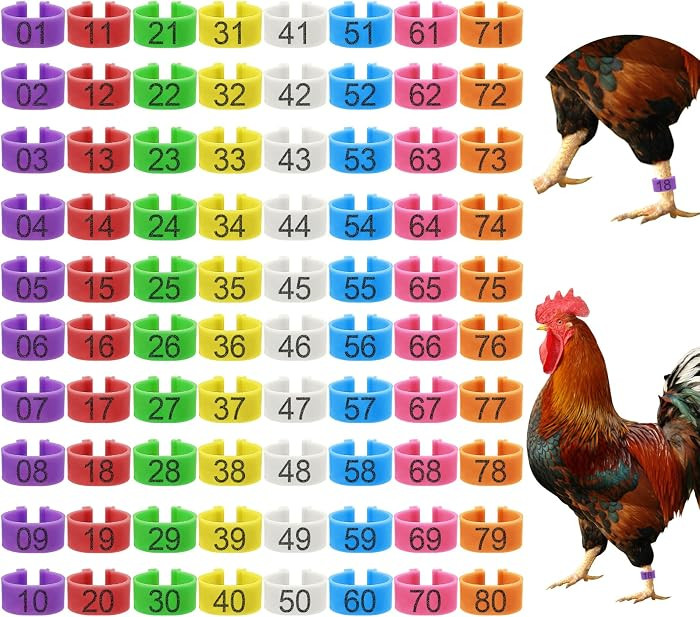 80 Pcs 16mm Chicken Leg Bands with 8 Colors, Colorful 01-80 Numbered Chicken Identification Leg B... | Amazon (US)