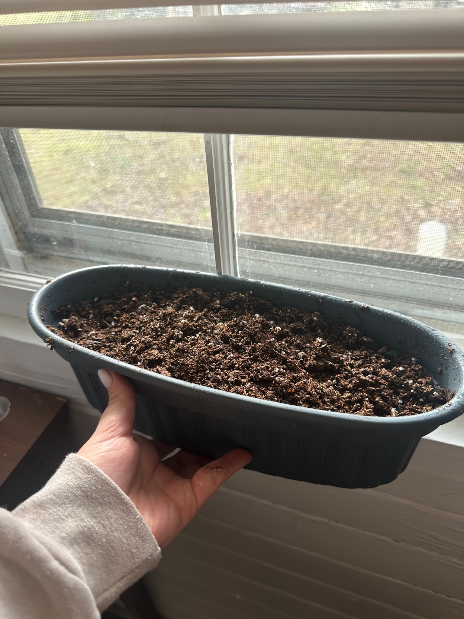 Everything I used to start my first garden! 🪴

#LTKfoodie #LTKHome #LTKSeasonal