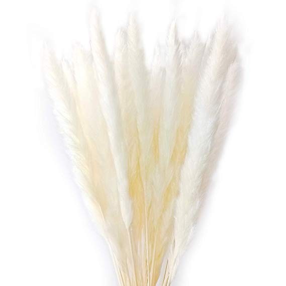 Dongliflower 50 Pcs Natural Dried Small Pampas Grass, Phragmites Communis,Wedding Flower Bunch, 2... | Amazon (US)