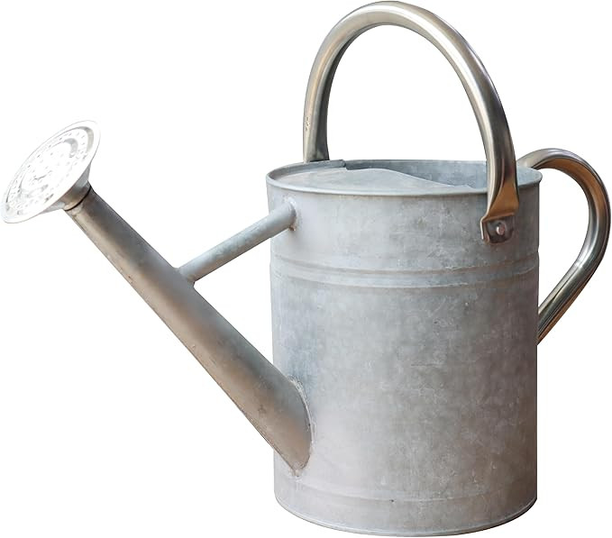 Metal Watering Can for Outdoor and Indoor Plants, Watering Can Decor, 1 Gallon (Zinc Stainless St... | Amazon (US)
