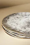 Cara Dinner Plates, Set of 4 | Anthropologie (US)