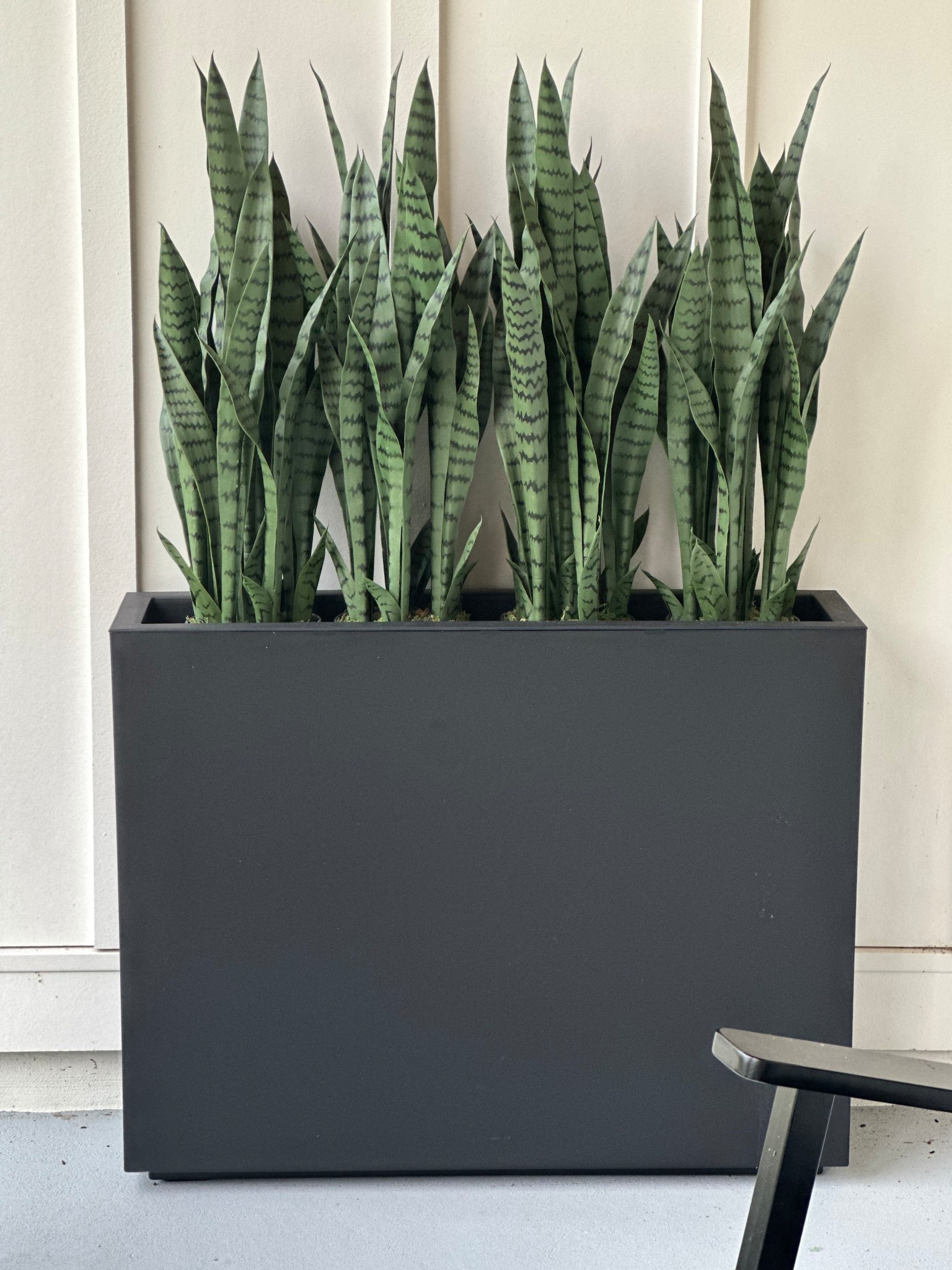 My favorite planters are finally on sale!  We’ve had them along our garage in full sun for 2 years with no fading! 🙌🏼 also adding our nearly natural green snake plants that we use in them. Amazon prime day sales.

#LTKHome #LTKFindsUnder100 #LTKSaleAlert