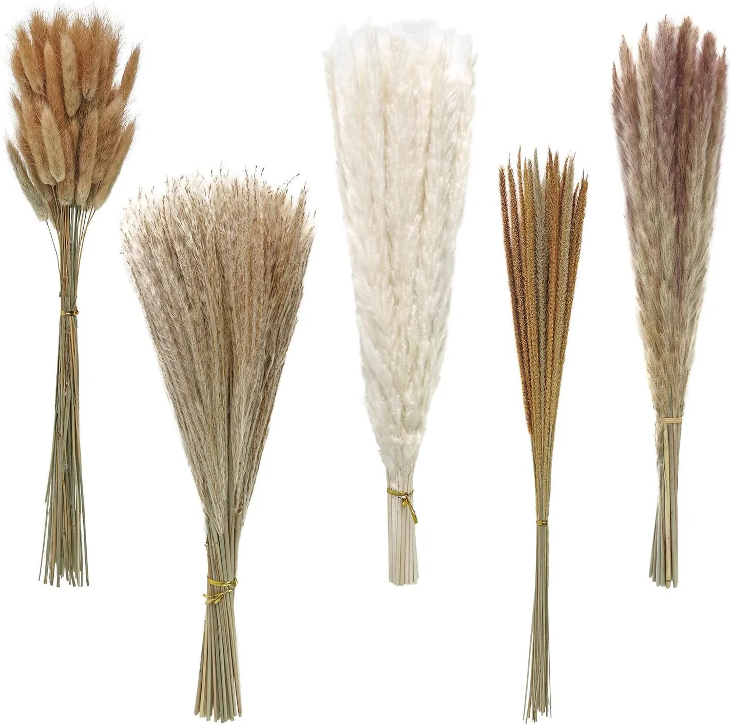 Primrue 145 - Piece Artificial Pampas Grass | Wayfair | Wayfair North America
