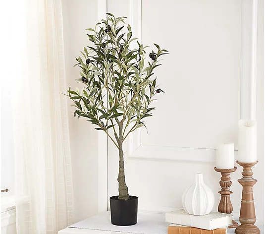 35" Faux Olive Tree by Liz Marie | QVC