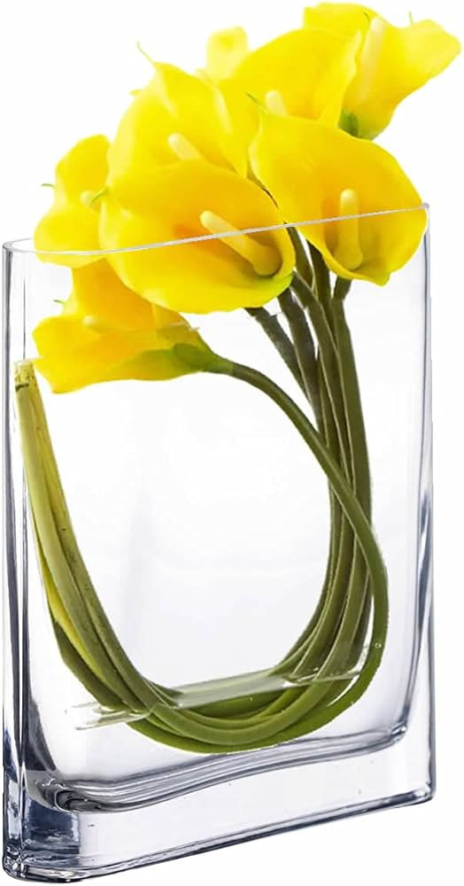CYS EXCEL Glass Book Vase (H:8" Open:7"x2") | Multiple Size Choices Round Edge Oval Flower Vase |... | Amazon (US)