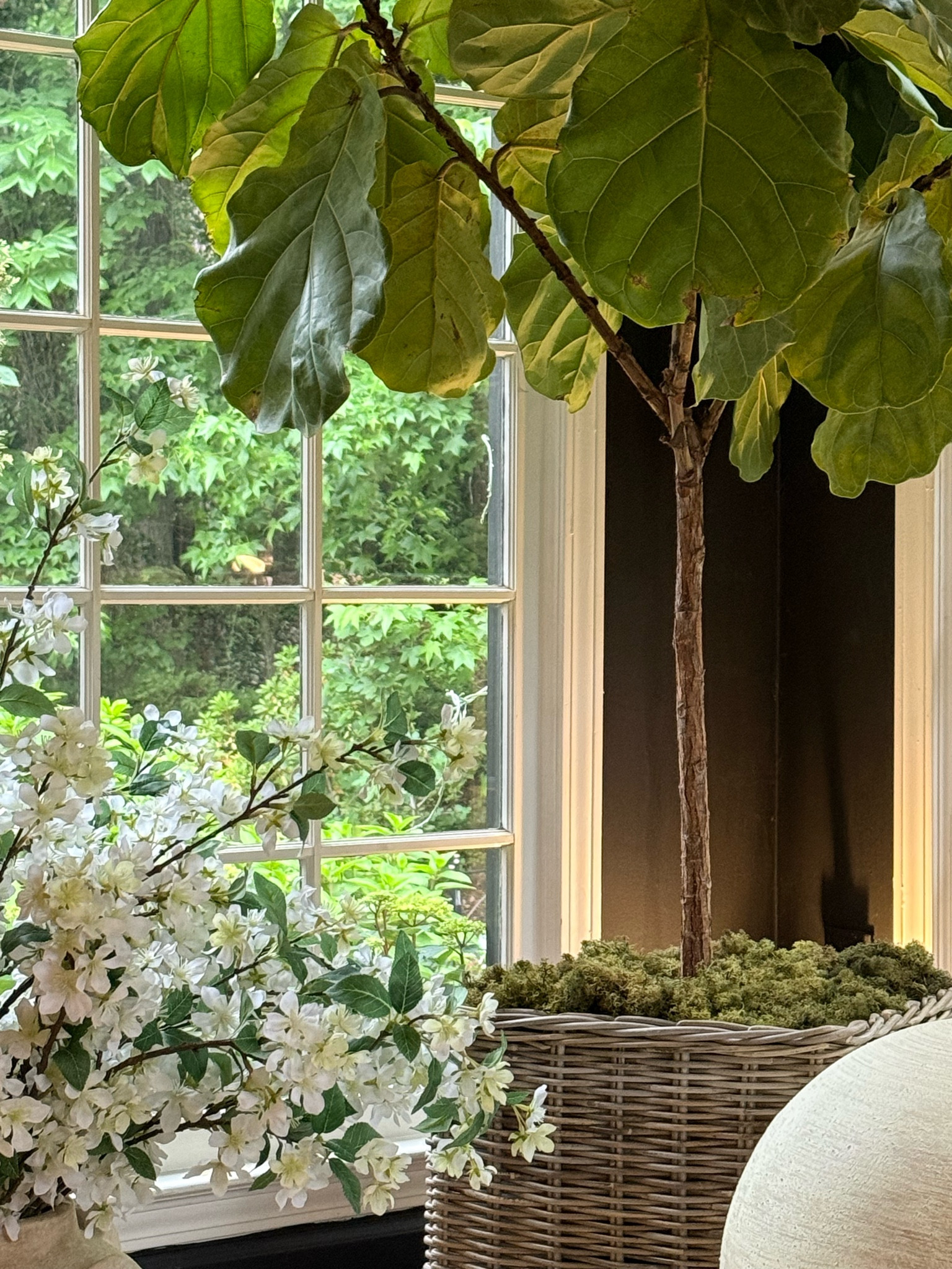 Best update I’ve made this month? Putting all of trees (faux or real!) into baskets! It adds so much texture and warmth!

#LTKSaleAlert #LTKSeasonal #LTKHome