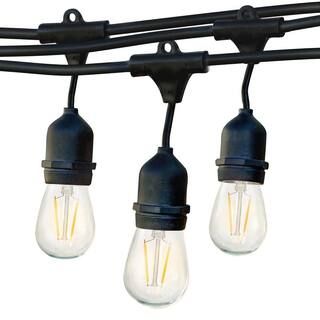 Ambience Pro Outdoor 48 ft. L Plug-in LED 1-Watt S14 Edison Bulb Hanging String Light 2700k | The Home Depot
