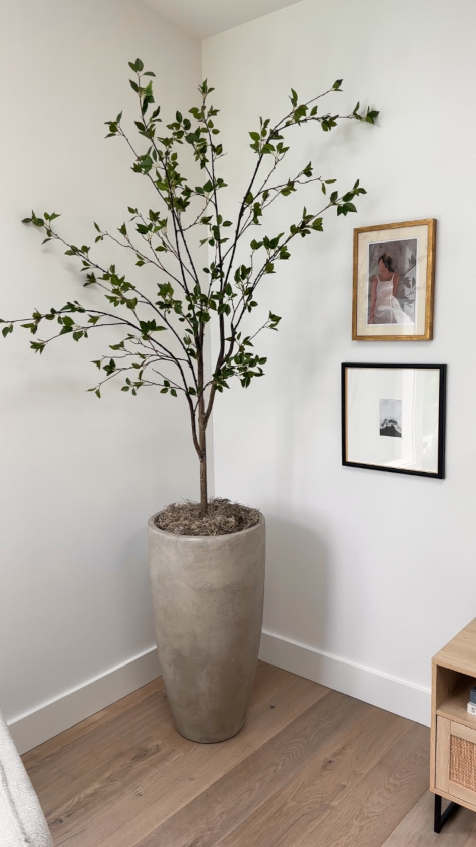 RH dupe, restoration hardware dupe, Pho, concrete planter, concrete planter


#LTKsalealert #LTKunder100 #LTKhome