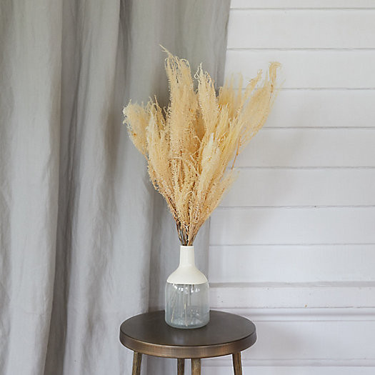 Bleached Andares Fern Bunch | Terrain