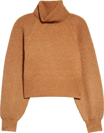 Rib Turtleneck Sweater | Nordstrom