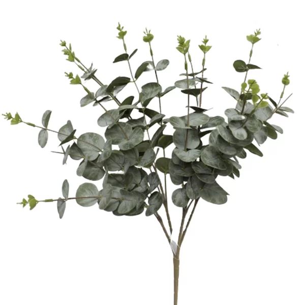 Eucalyptus Sprays | Wayfair North America