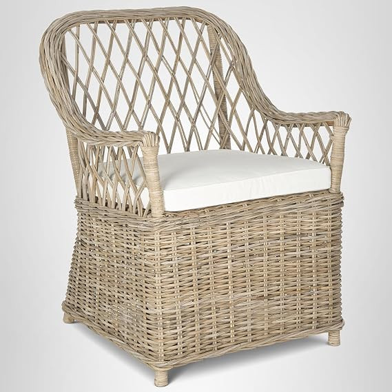 Safavieh Home Collection Maluku Soft Grey Arm Chair | Amazon (US)