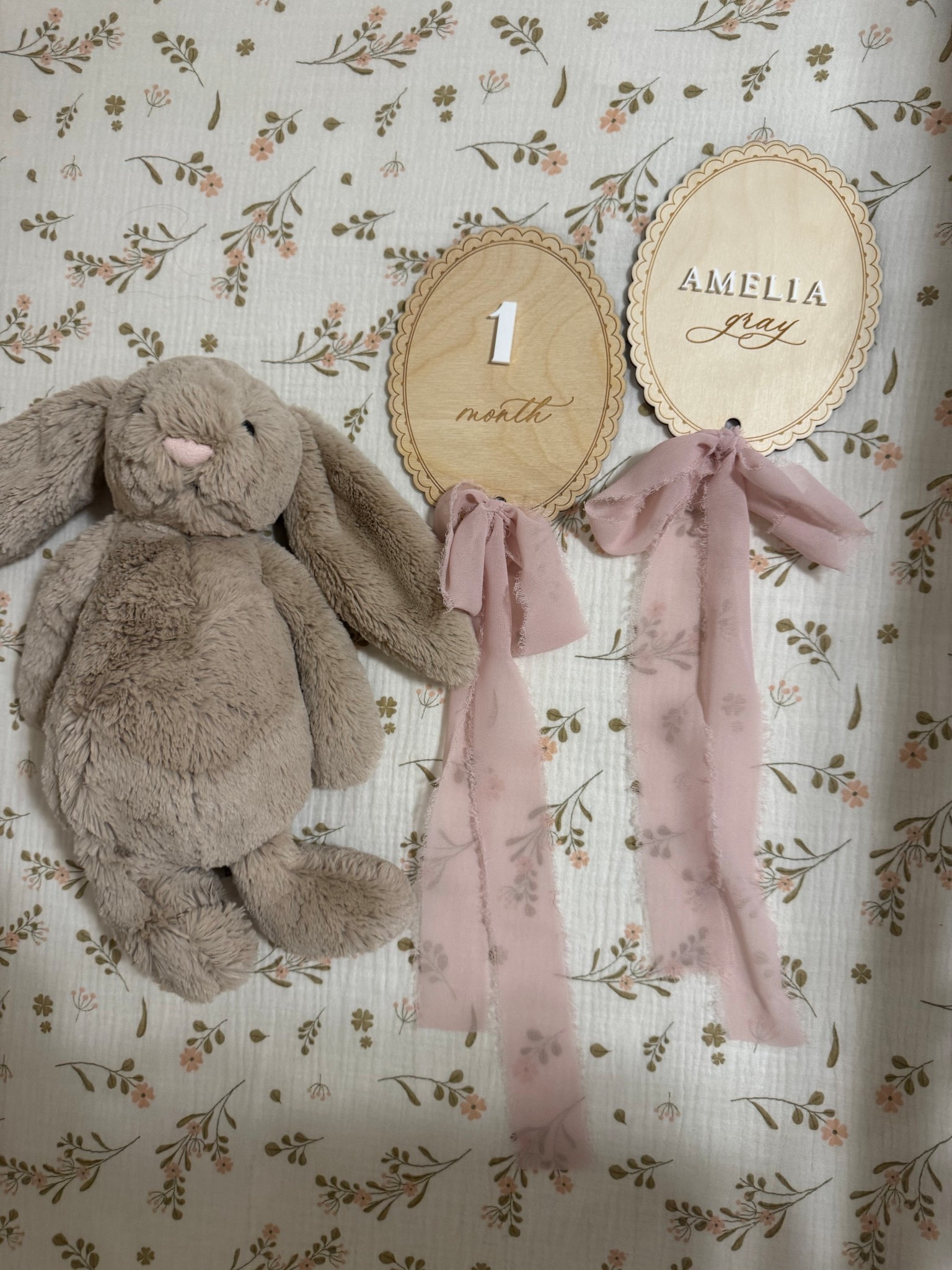 Baby growing months numbers and name sign! 