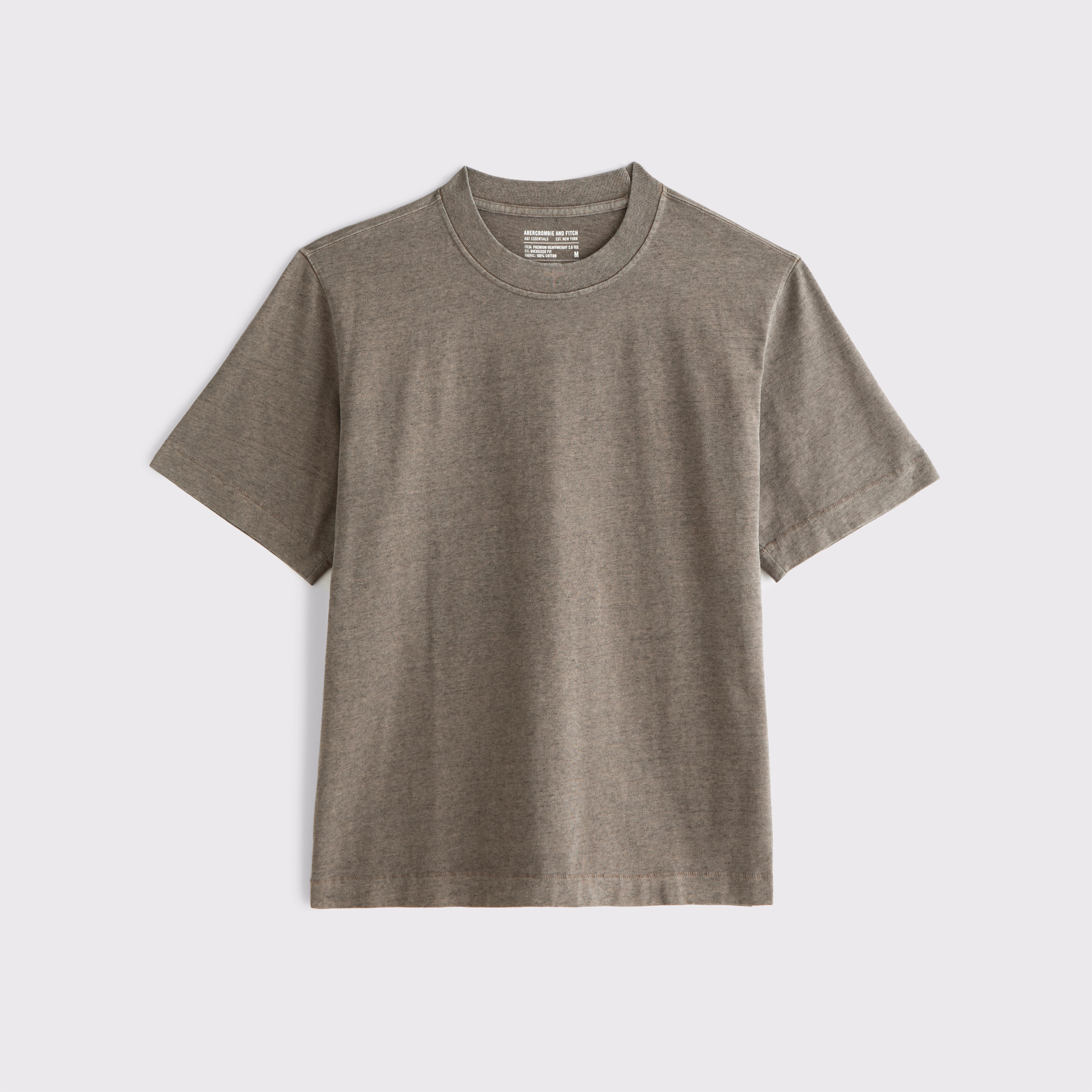 Premium Heavyweight 2.0 Tee | Abercrombie & Fitch (US)