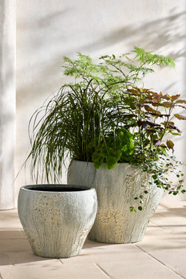 Barnacle Fiber Concrete Curved Jar Planter | Anthropologie (US)