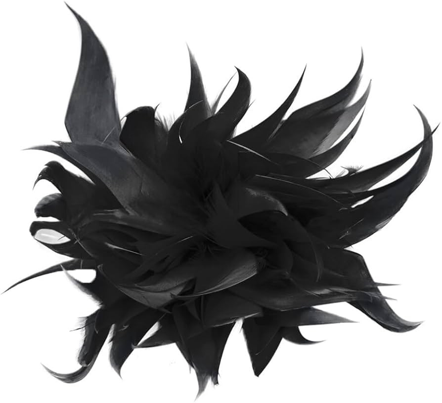 Women Feather Brooch Fashion Brooch Pins Corsage Hair Clip Headwear Hairpin Hairband for Derby Ha... | Amazon (US)