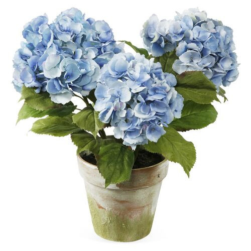 19" Hydrangeas in Pot - Faux - Blue | One Kings Lane