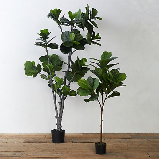 Faux Fiddle Leaf Fig Tree | Terrain