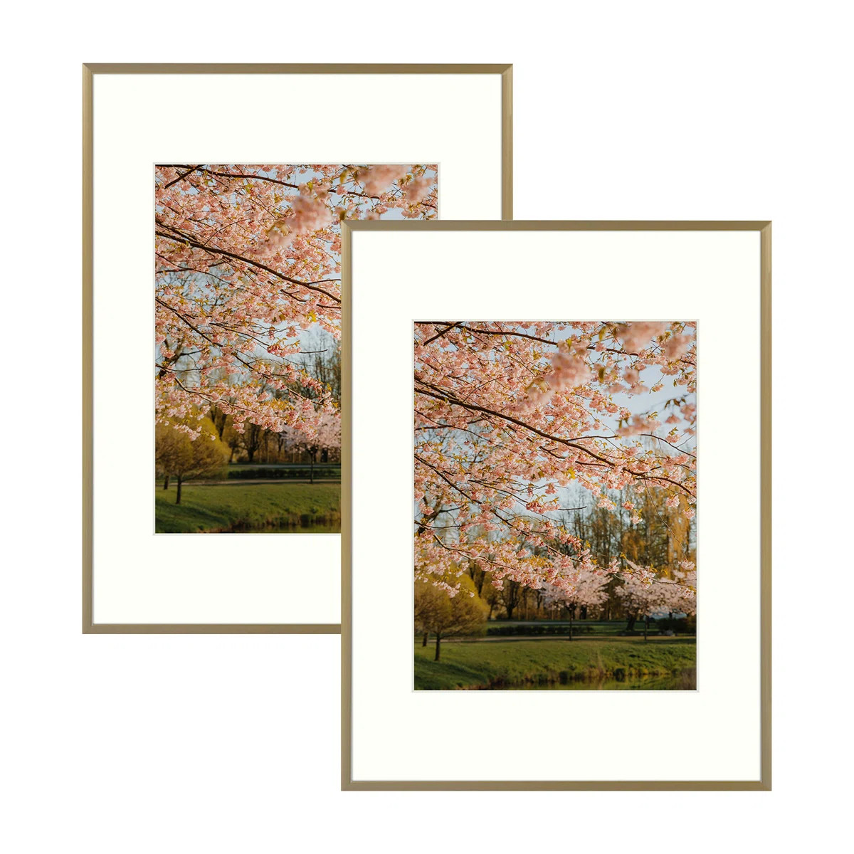 Drennon Metal Picture Frame with Mat (Set of 2) | Wayfair North America