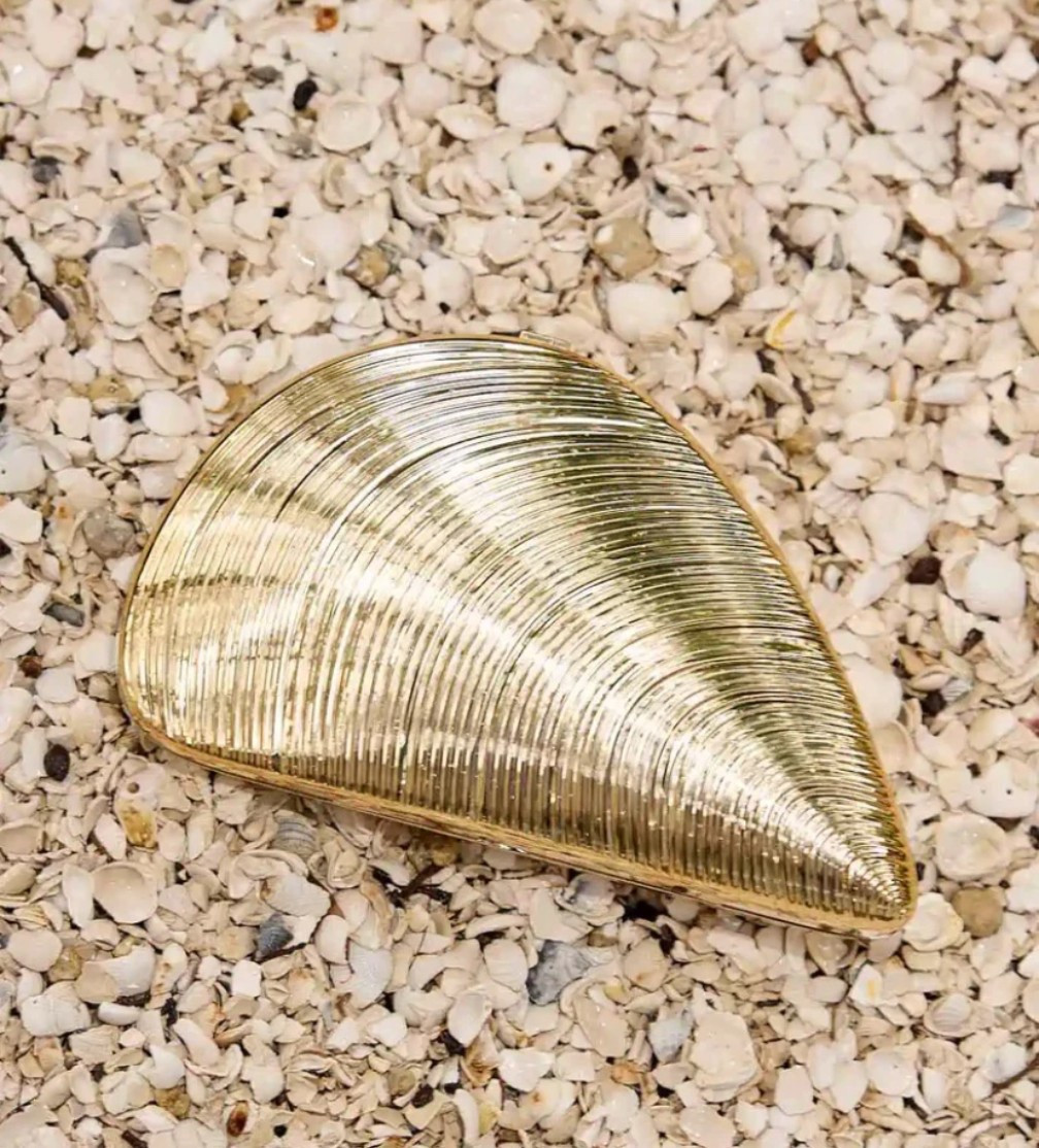 Oyster Clutch

#LTKSeasonal #LTKOver40 #LTKTravel