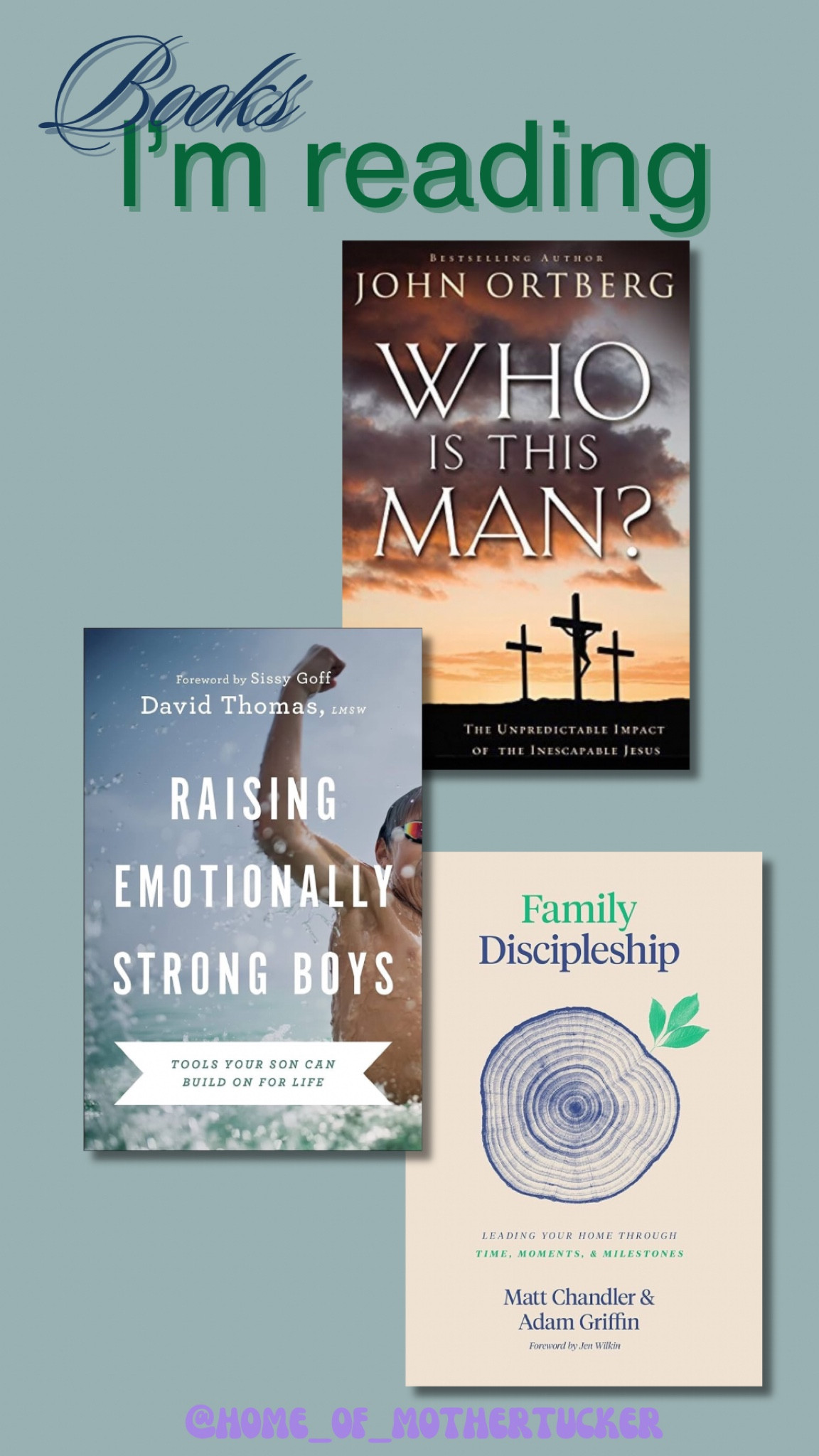 Here are some books I’m currently reading or have recently finished reading! These are resources I was recommended by some of the leaders in our church! 

#LTKFamily