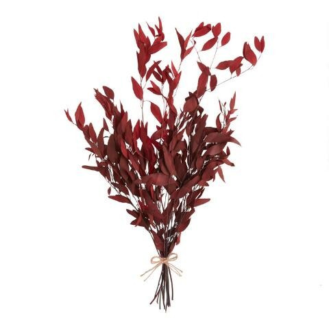 Dried Willow Eucalyptus Bunch | World Market