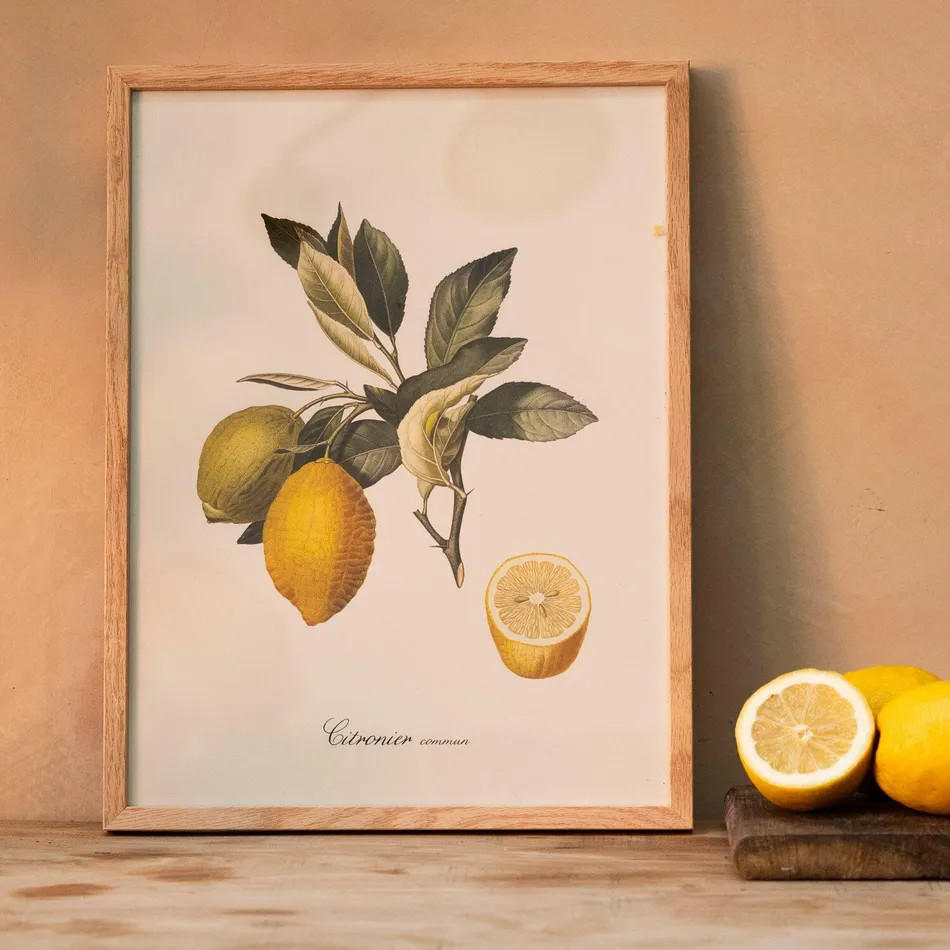 Common Lemon Branch Print with Oak Frame | Graham and Green