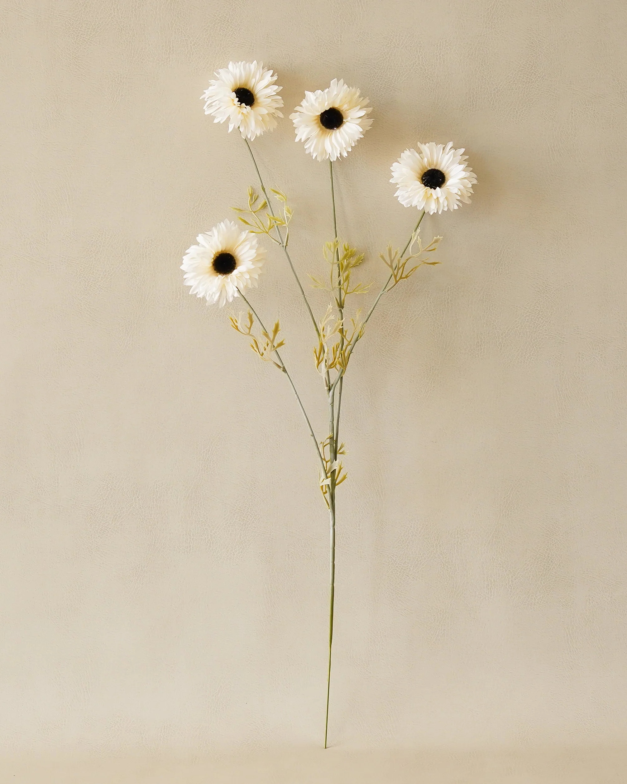 White Daisy Stem | MJHome